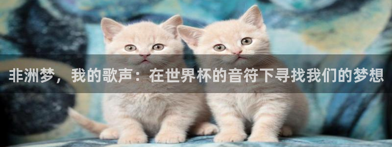 世界杯时间：非洲梦，我的歌声：在世界杯的音符下寻找我们的梦想