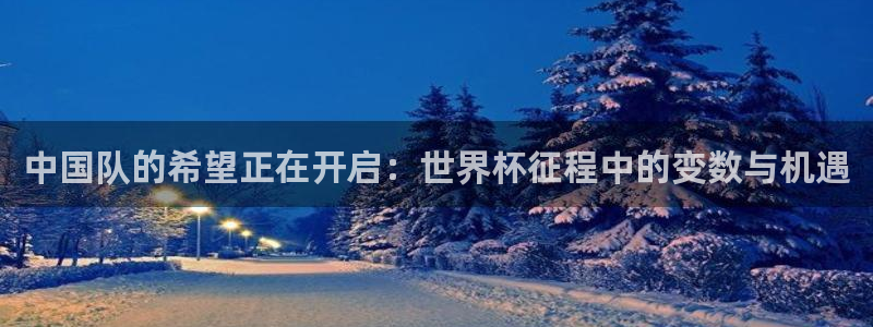 世界杯附加赛赛程表：中国队的希望正在开启：世界杯征程中的变数与机遇