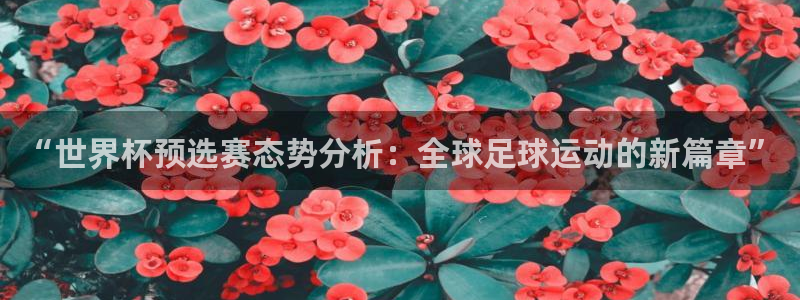 世界杯亚洲区预选赛积分榜：“世界杯预选赛态势分析：全球足球运动的新篇章”