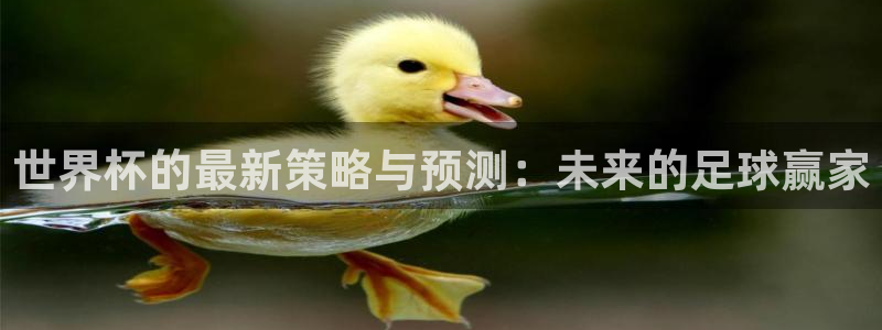 2026世界杯亚洲预选赛：世界杯的最新策略与预测：未来的足球赢家