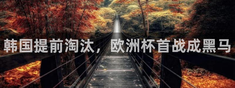 世界杯球赛：韩国提前淘汰，欧洲杯首战成黑马