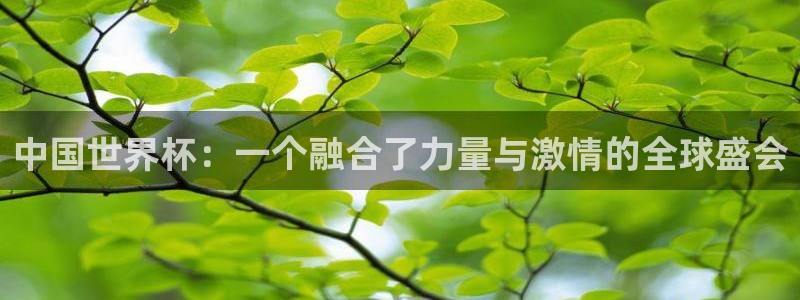世界杯第一场比赛：中国世界杯：一个融合了力量与激情的全球盛会