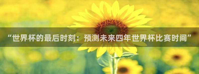 世界杯足球2026：“世界杯的最后时刻：预测未来四年世界杯比赛时间”