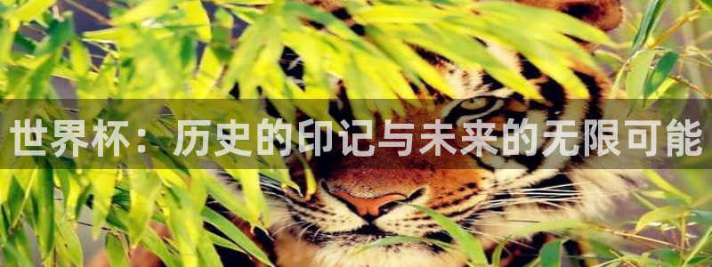 世界杯视频：世界杯：历史的印记与未来的无限可能