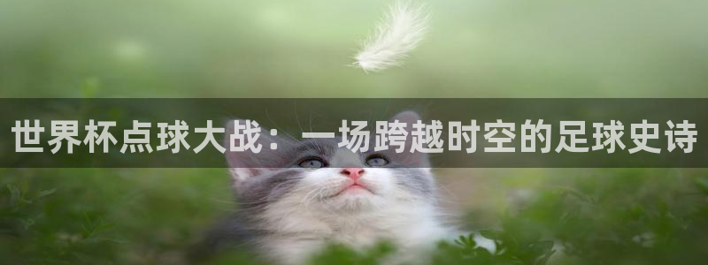 世界杯亚洲区预选赛赛程表：世界杯点球大战：一场跨越时空的足球史诗