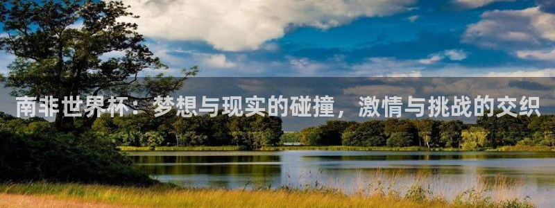 世界杯预选赛亚洲区积分榜：南非世界杯：梦想与现实的碰撞，激情与挑战的交织