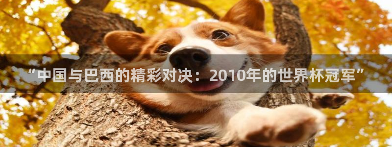 世界杯欧洲预选赛赛程：“中国与巴西的精彩对决：2010年的世界杯冠军”
