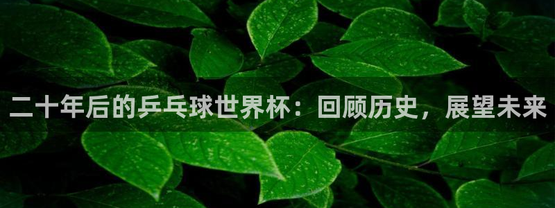 世界杯2026赛程：二十年后的乒乓球世界杯：回顾历史，展望未来