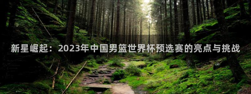 免费足球比赛直播高清：新星崛起：2023年中国男篮世界杯预选赛的亮点与挑战