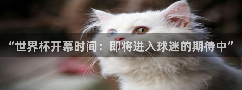 世界杯小组赛赛程：“世界杯开幕时间：即将进入球迷的期待中”