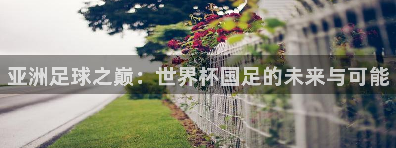 世界杯预选赛规则：亚洲足球之巅：世界杯国足的未来与可能